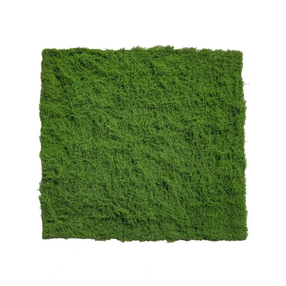 DIY Artificial Grass Rug Durab - Terrarium Moss Art recension och pris