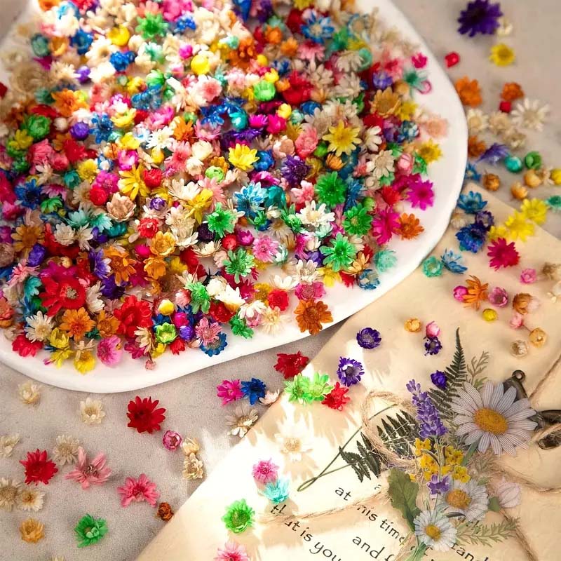 Mixed Colorful Flower for Wax  - Resin Craft Ideas recension och pris