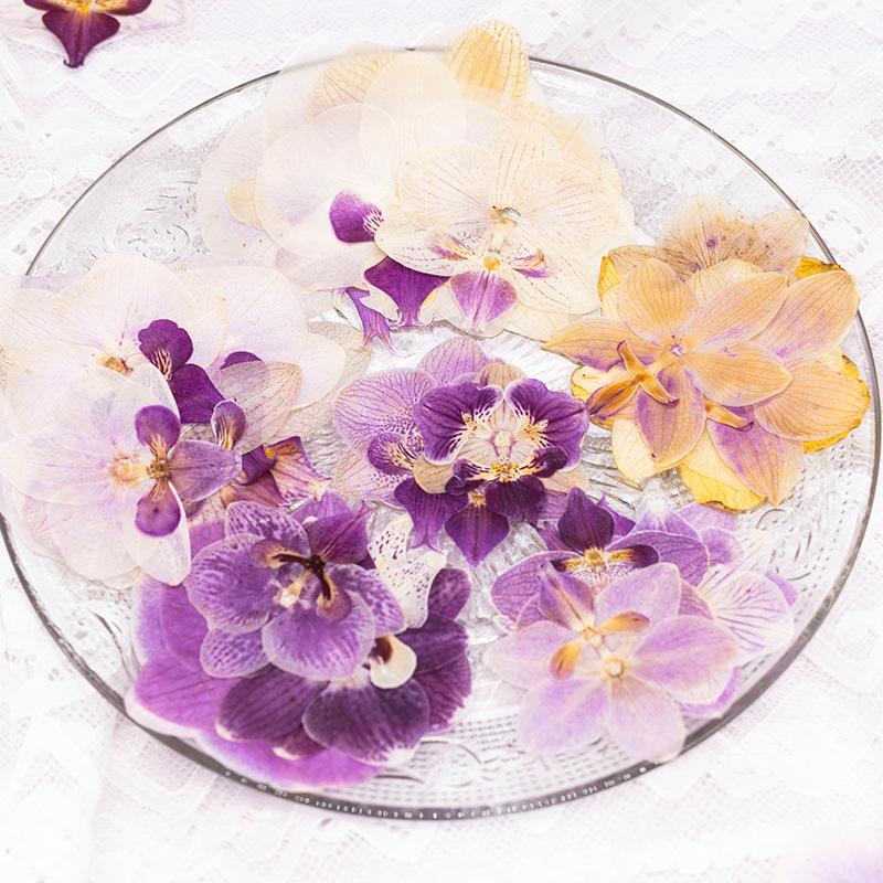 4 Pcs Pressed Dried Phalaenops - Dried Flower Bulk recension och pris
