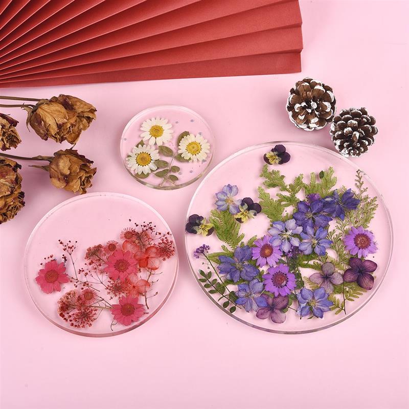 Round Square Rectangle Shape C - Coaster Mold Round recension och pris