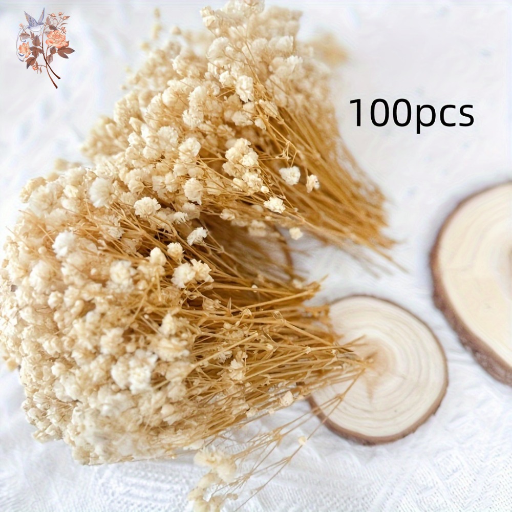 100pcs Mini Dried Baby's Breat - Dried Flower Bulk recension och pris